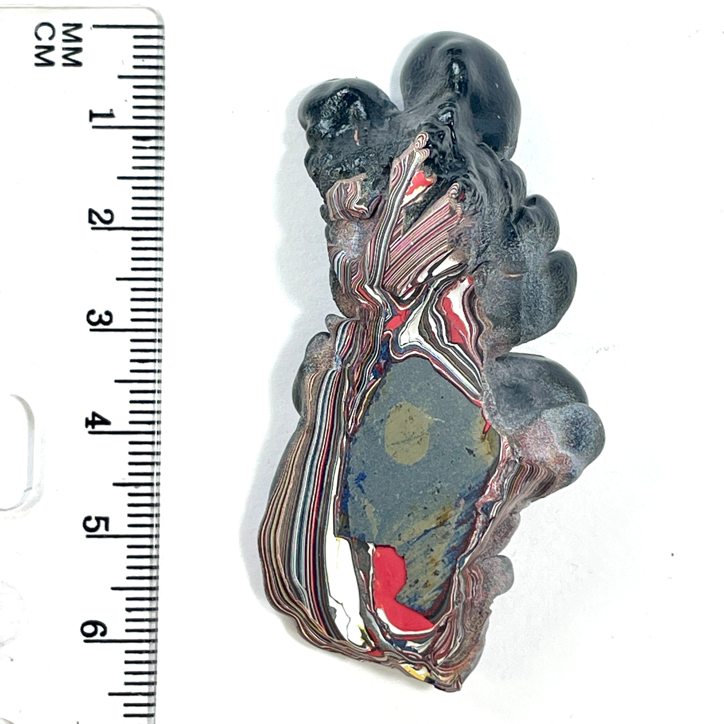 DVH 15g Corvette Fordite Polished Face Specimen Bowling Green KY Ass. (6550) - DVHdesigns