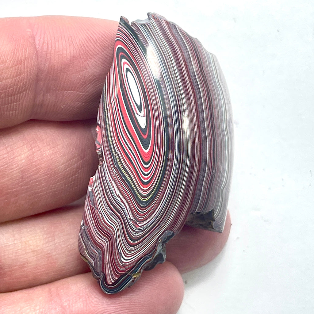 DVH 16g Corvette Fordite Polished Face Specimen Bowling Green KY Ass. (6581) - DVHdesigns