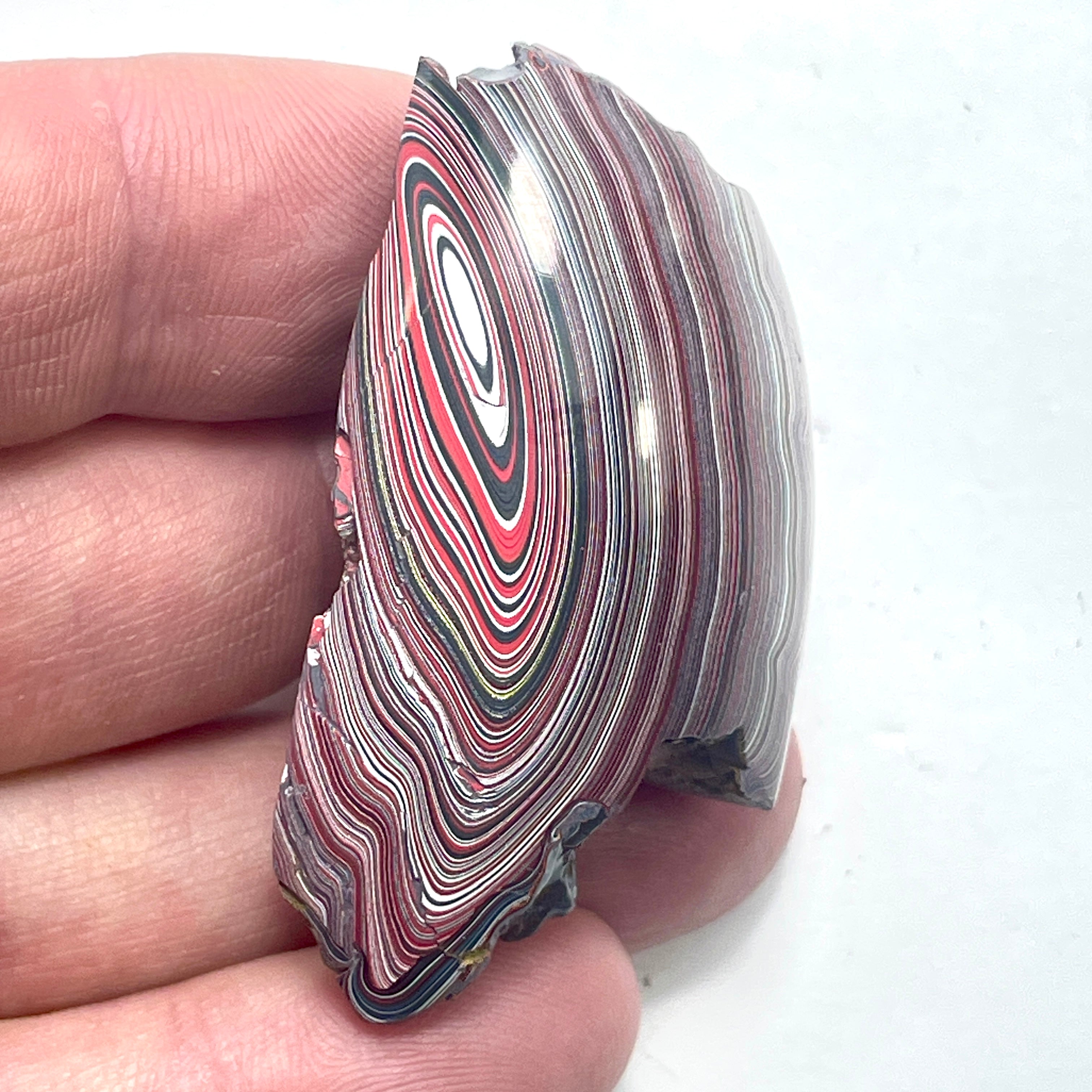 DVH 16g Corvette Fordite Polished Face Specimen Bowling Green KY Ass. (6581) - DVHdesigns
