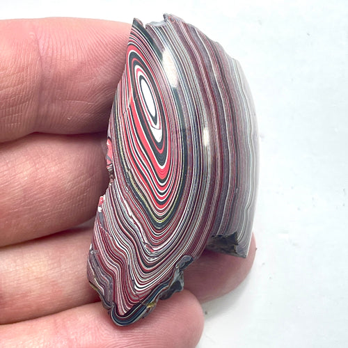 DVH 16g Corvette Fordite Polished Face Specimen Bowling Green KY Ass. (6581) - DVHdesigns