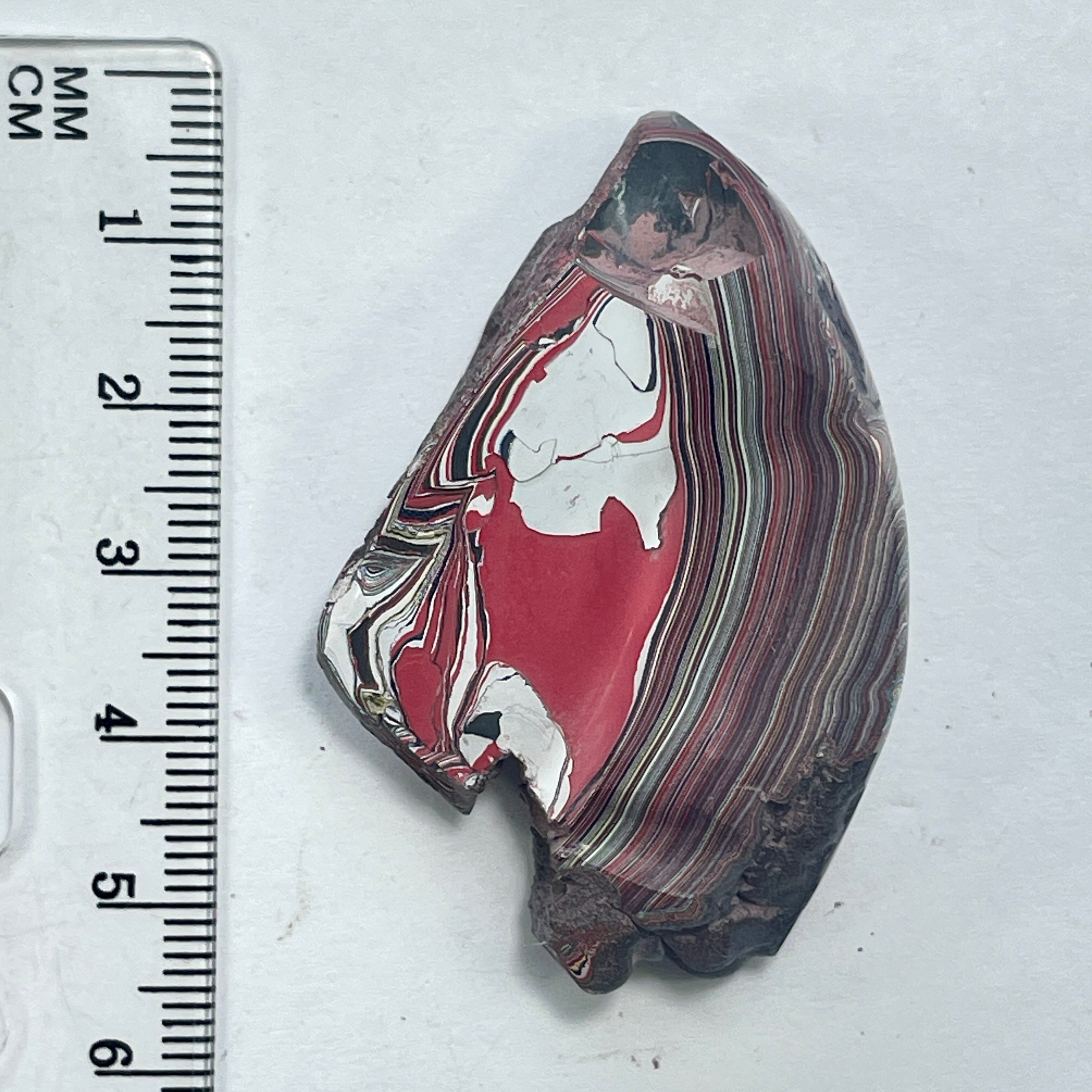 DVH 15g Corvette Fordite Polished Face Specimen Bowling Green KY Ass. (6583) - DVHdesigns