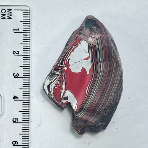 DVH 15g Corvette Fordite Polished Face Specimen Bowling Green KY Ass. (6583) - DVHdesigns