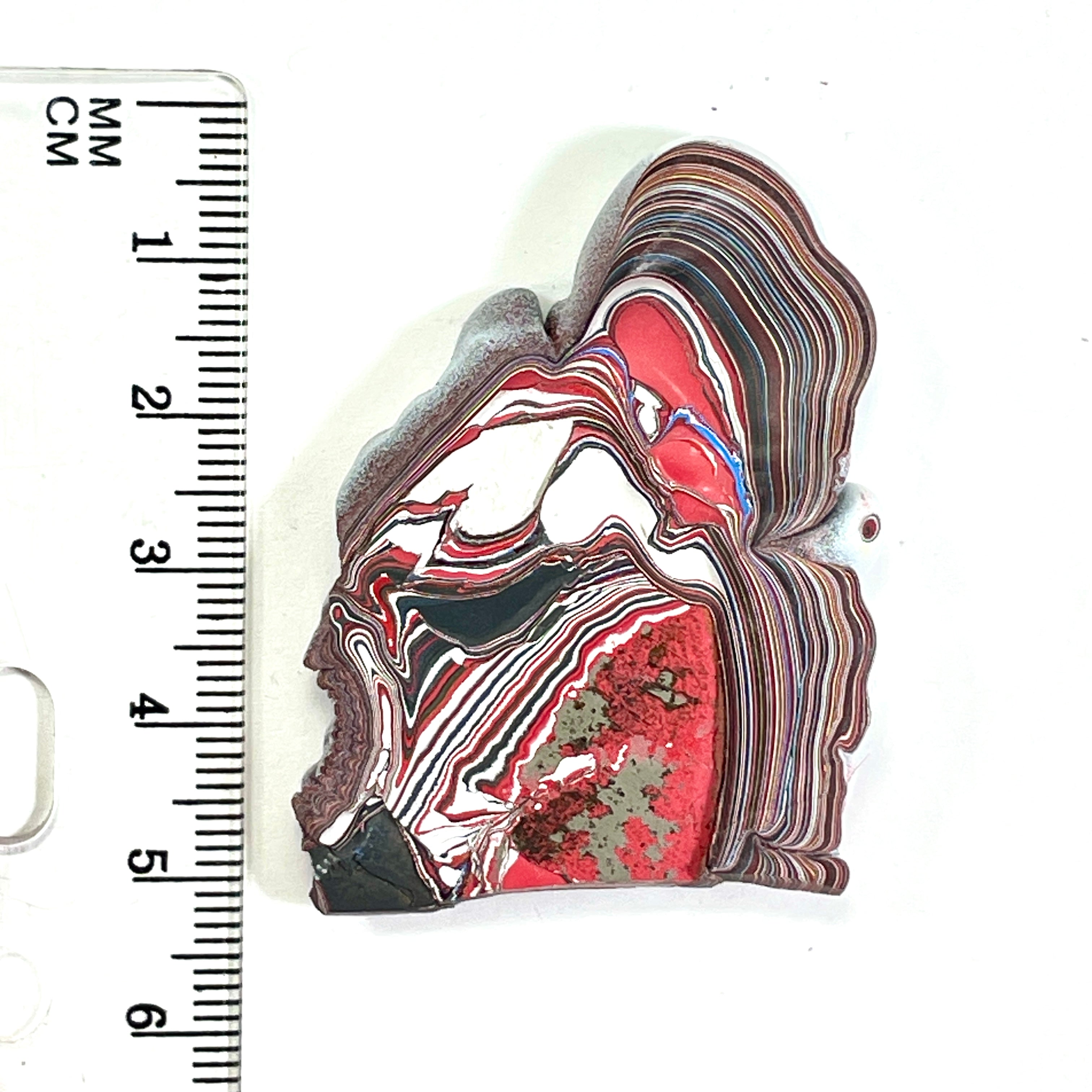 DVH 13g Corvette Fordite Polished Face Specimen Bowling Green KY Ass. (6659) - DVHdesigns