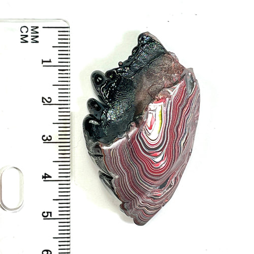 DVH 12g Corvette Fordite Polished Face Specimen Bowling Green KY Ass. (6660) - DVHdesigns