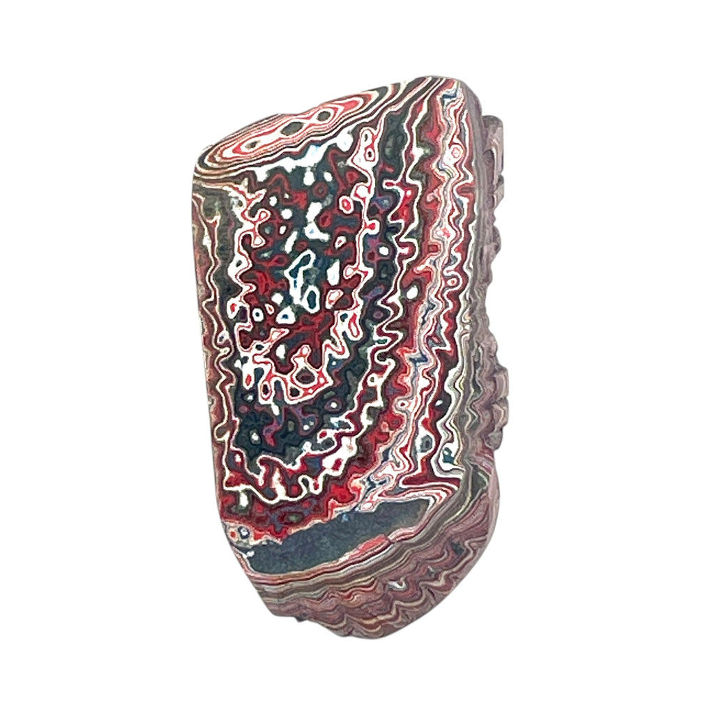 DVH 5g Corvette Dragon Scale Fordite Polished Face Specimen Bowling Green KY Ass. (6764)