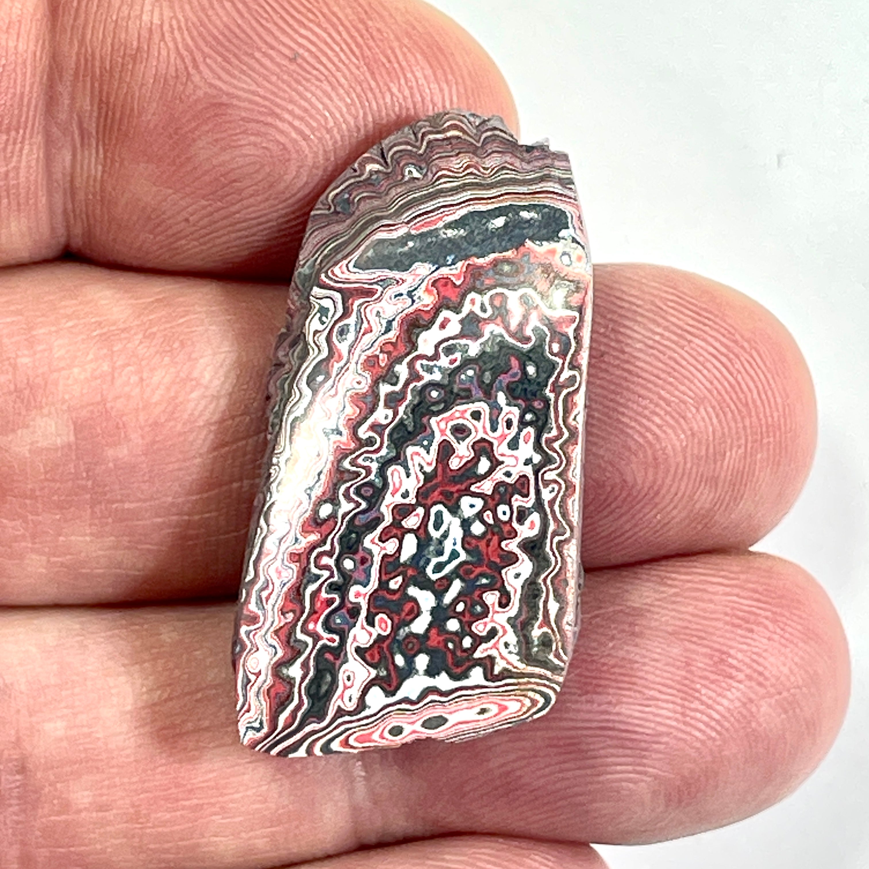 DVH 5g Corvette Dragon Scale Fordite Polished Face Specimen Bowling Green KY Ass. (6764)