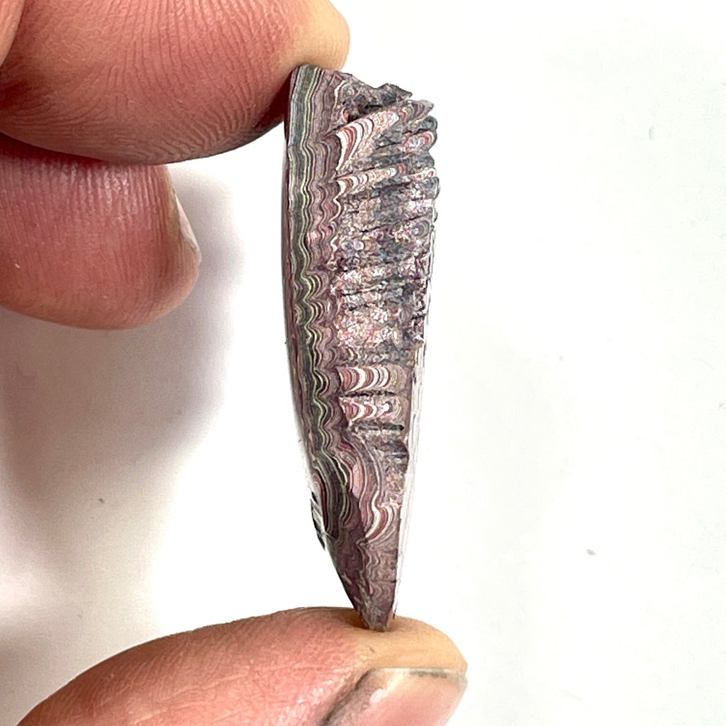 DVH 5g Corvette Dragon Scale Fordite Polished Face Specimen Bowling Green KY Ass. (6764)