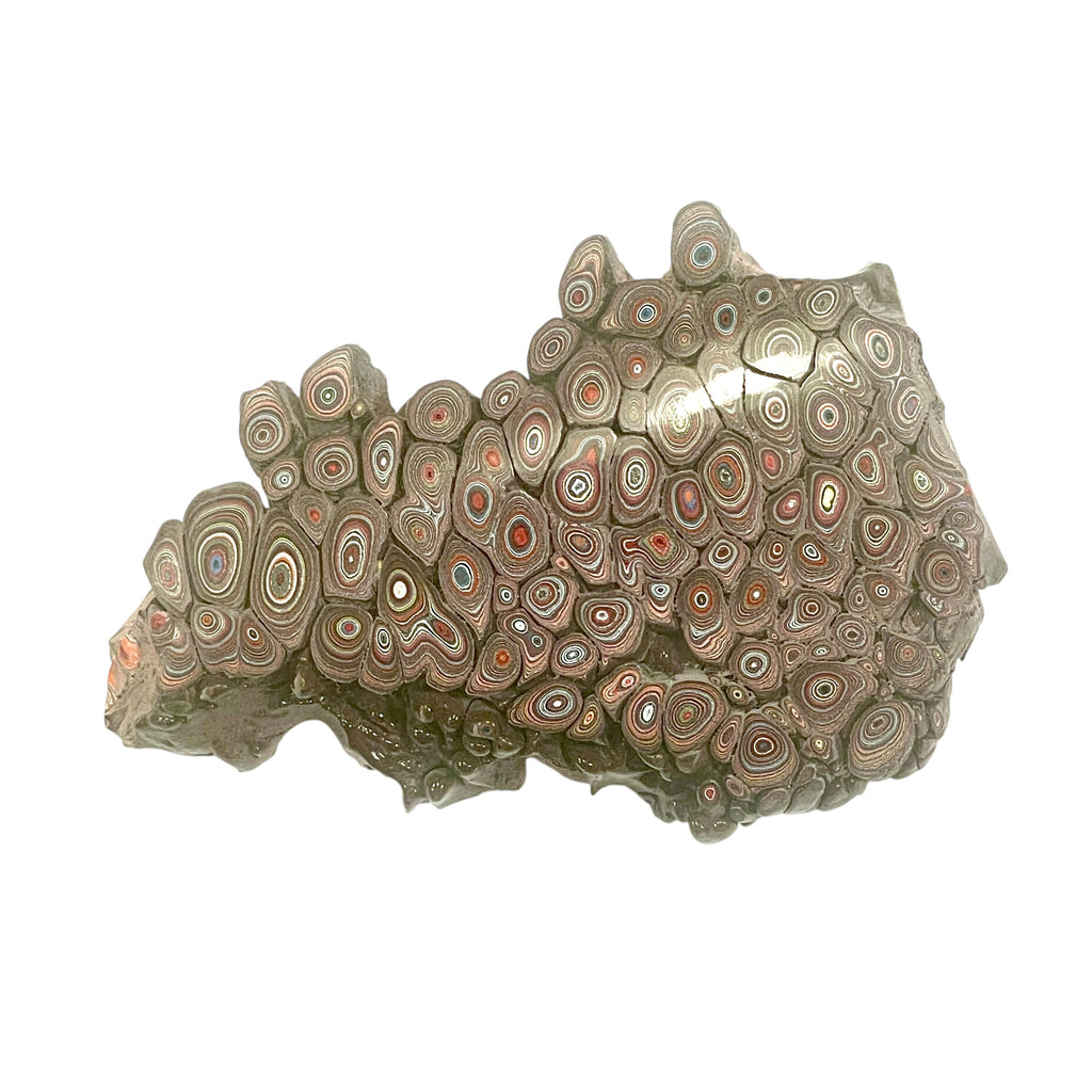 DVH 15g Corvette Dragon Scale Fordite Polished Face Specimen Bowling Green KY Ass. (6765)