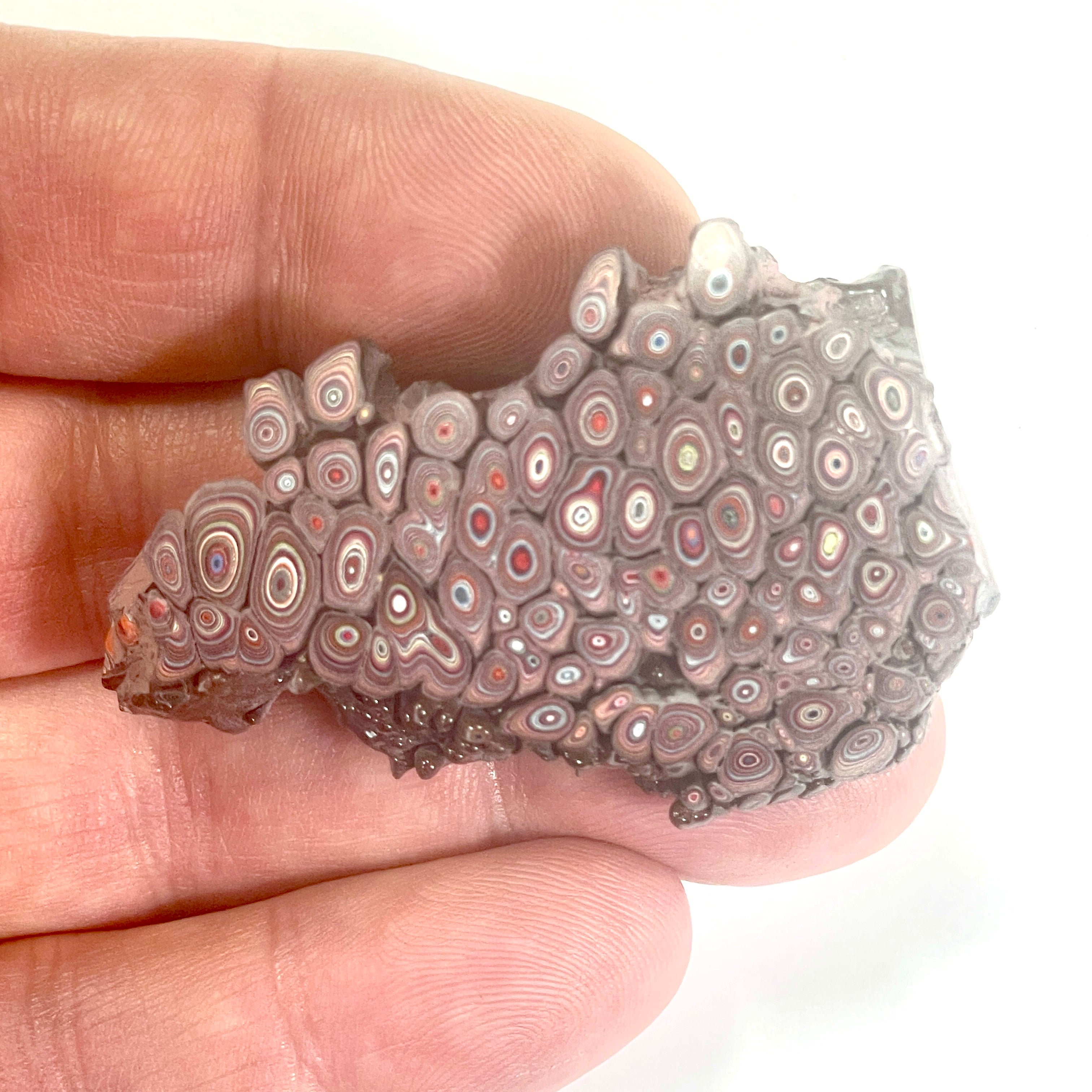 DVH 15g Corvette Dragon Scale Fordite Polished Face Specimen Bowling Green KY Ass. (6765)