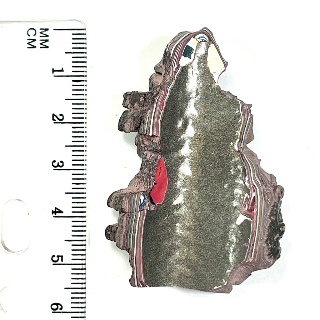 DVH 15g Corvette Dragon Scale Fordite Polished Face Specimen Bowling Green KY Ass. (6765)