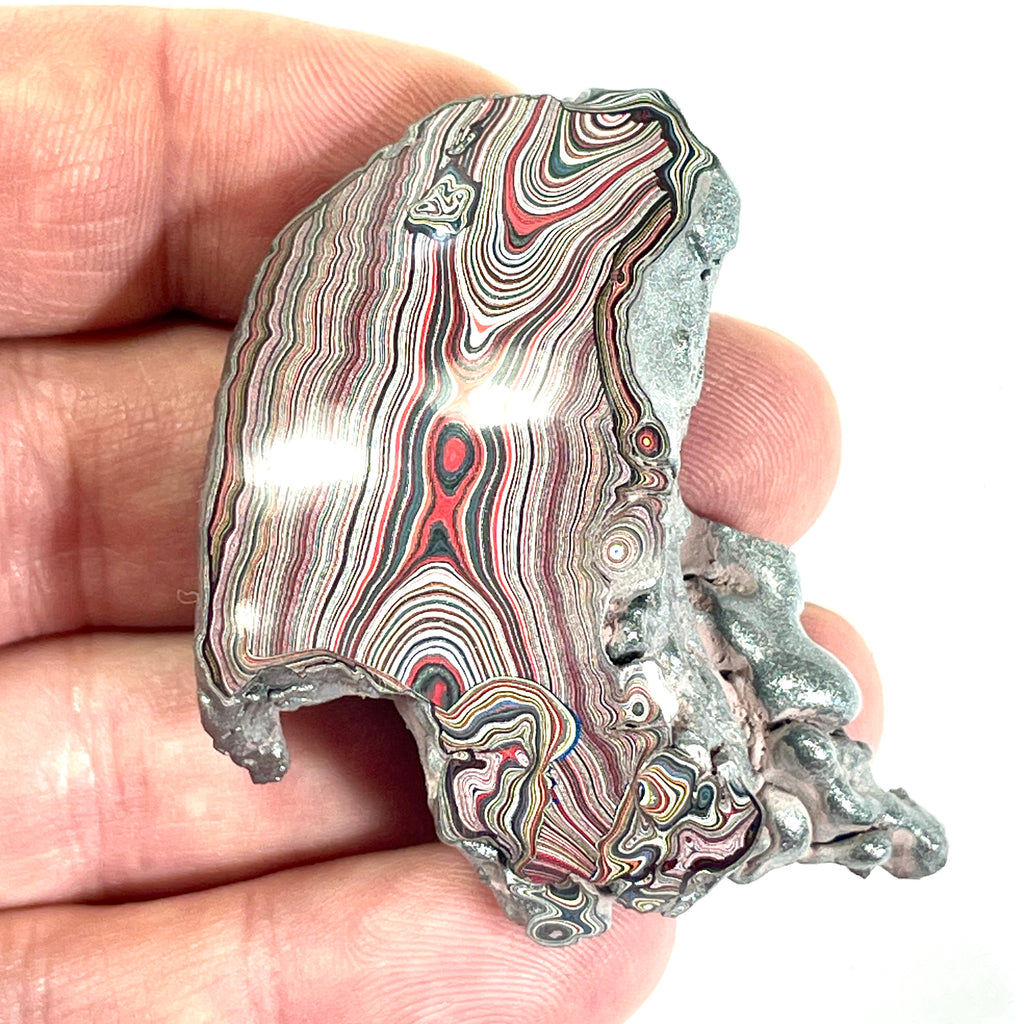 DVH 24g Corvette Fordite Polished Face Specimen Bowling Green KY Ass. (6766)