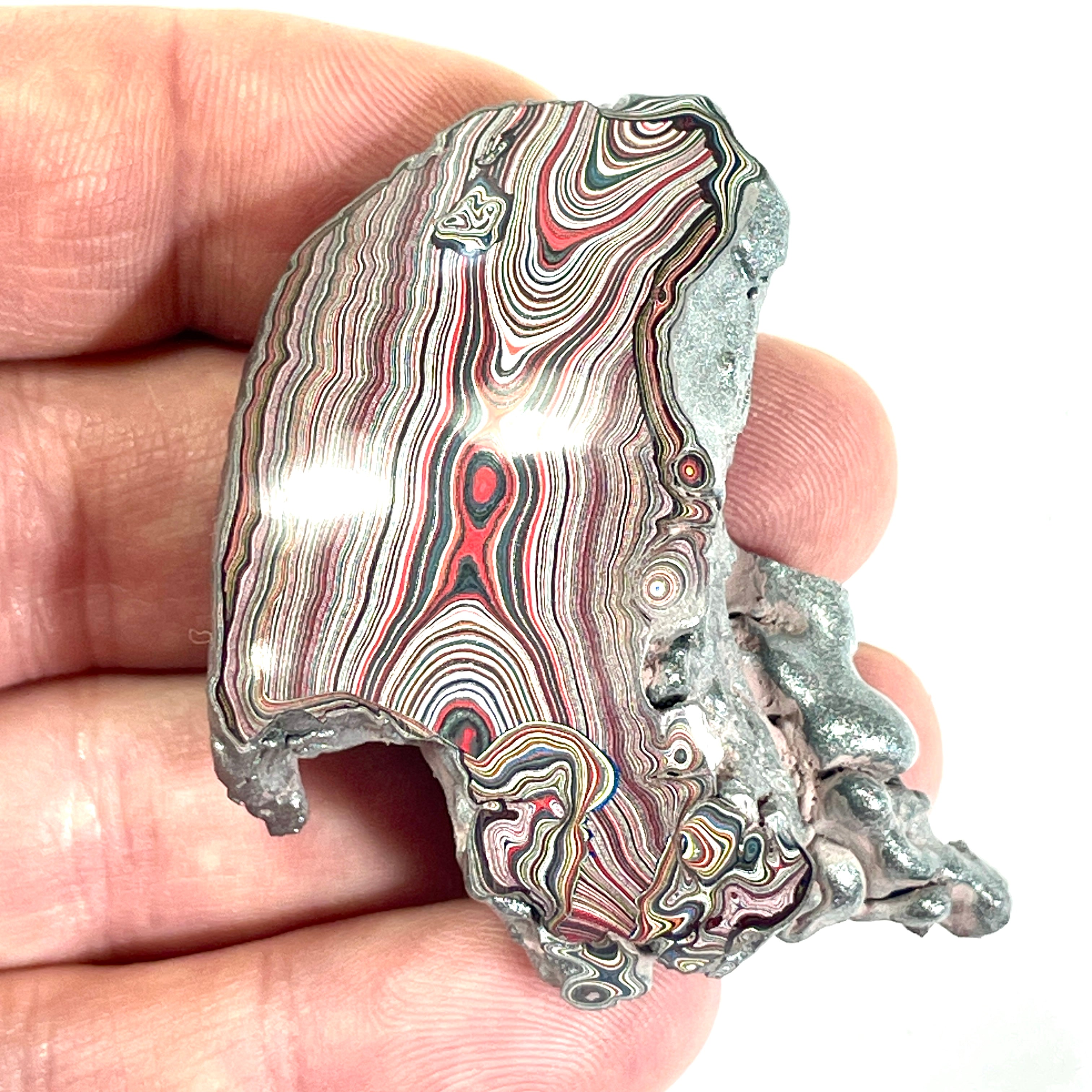 DVH 24g Corvette Fordite Polished Face Specimen Bowling Green KY Ass. (6766)