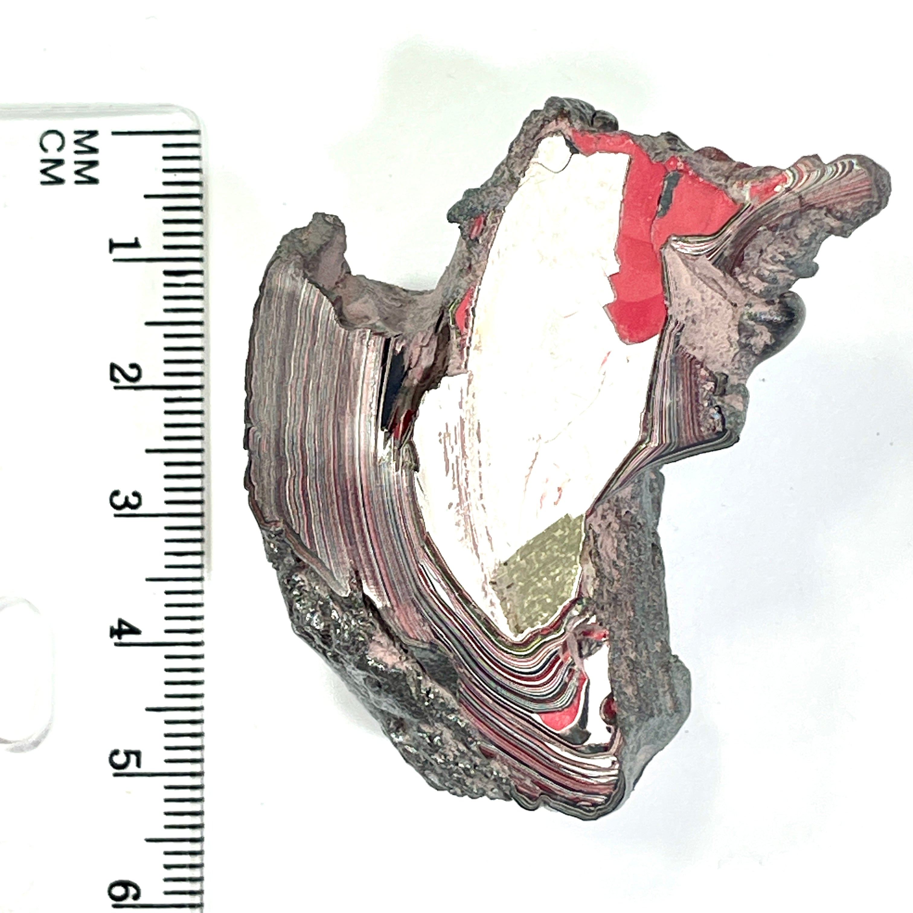 DVH 24g Corvette Fordite Polished Face Specimen Bowling Green KY Ass. (6766)