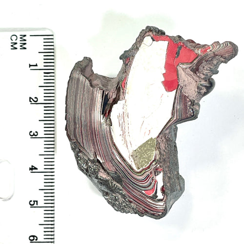 DVH 24g Corvette Fordite Polished Face Specimen Bowling Green KY Ass. (6766) - DVHdesigns