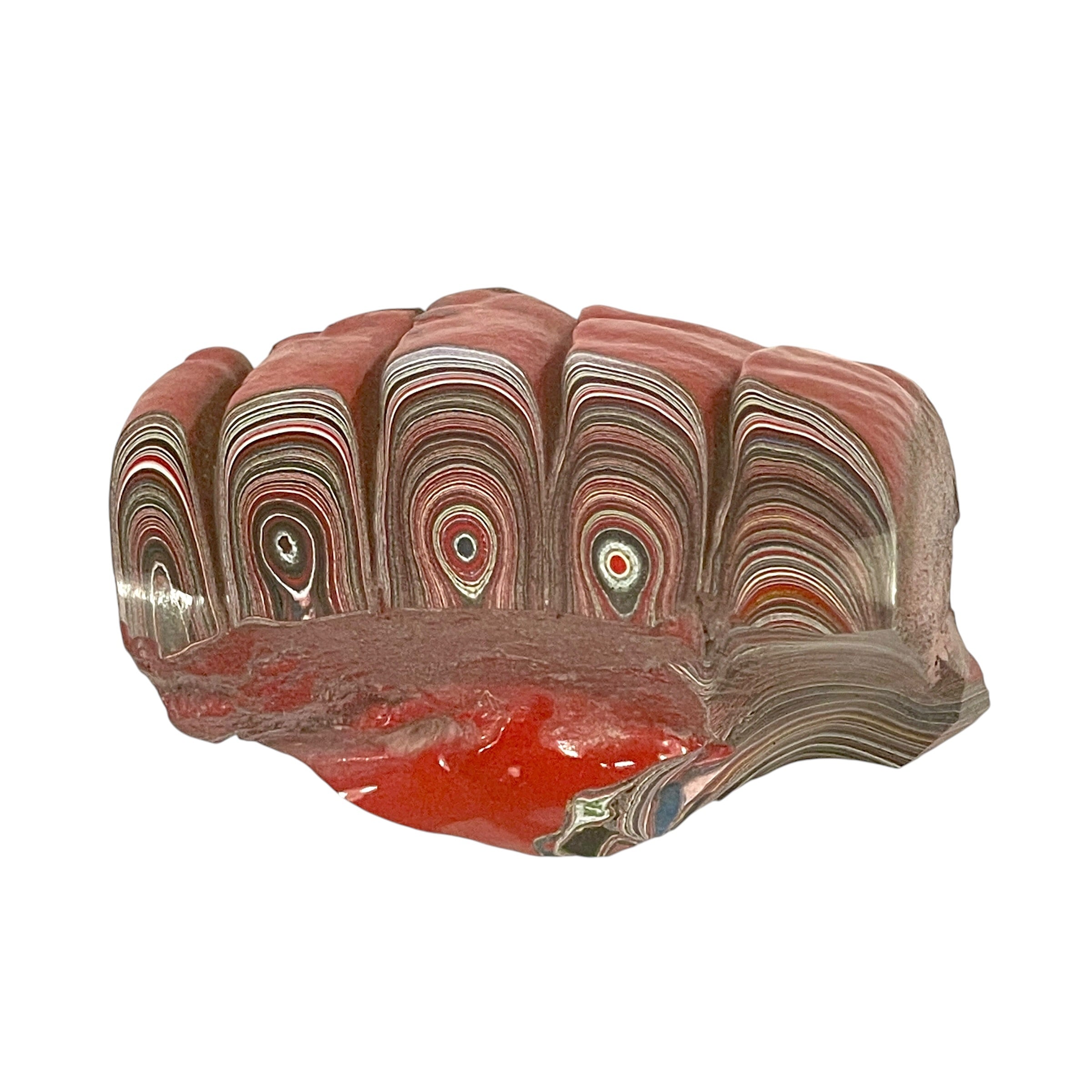DVH 9g Corvette Fordite Polished Face Specimen Bowling Green KY Ass. (6767)