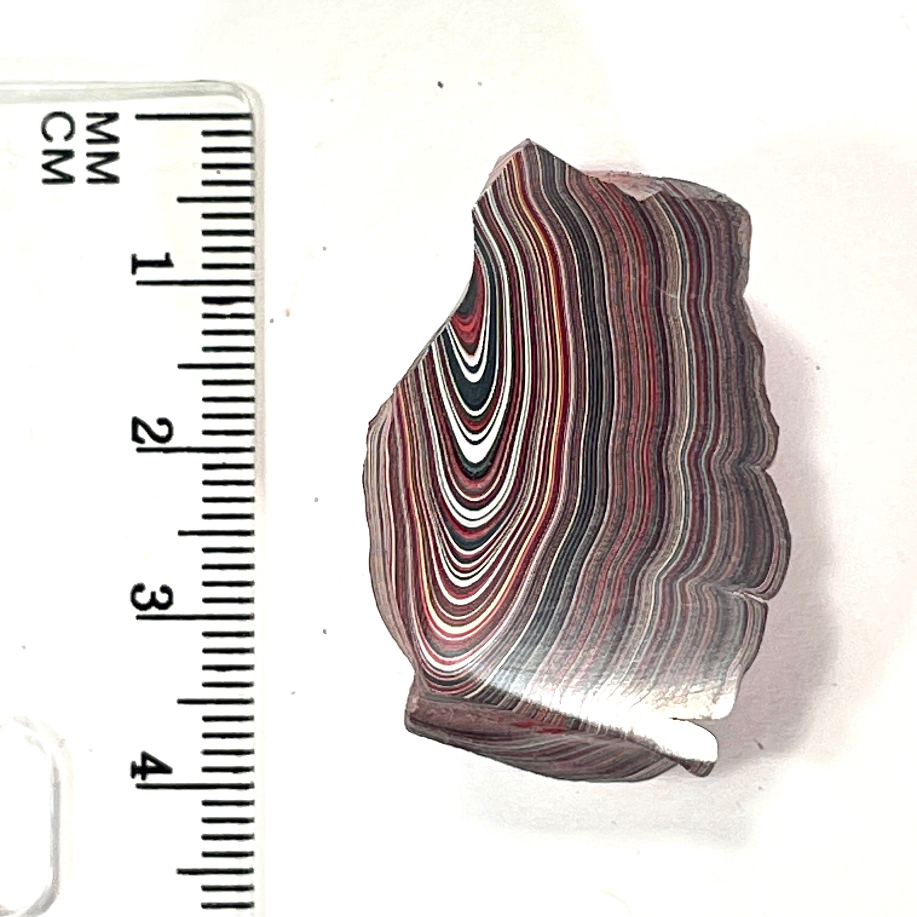 DVH 9g Corvette Fordite Polished Face Specimen Bowling Green KY Ass. (6767)