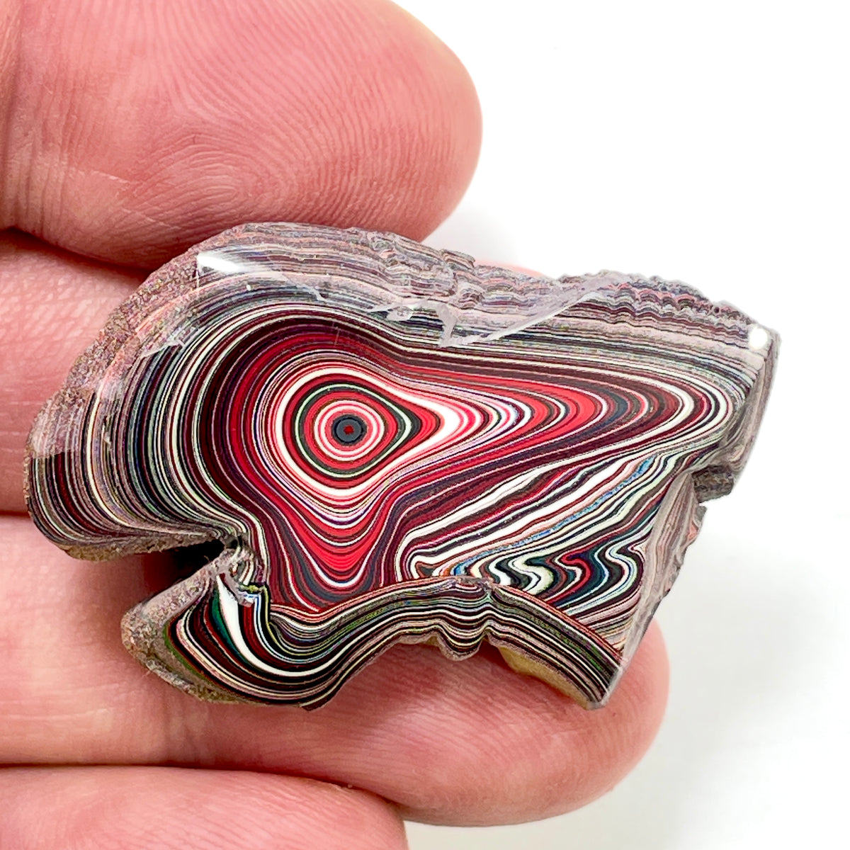 DVH 10g Corvette Fordite Polished Face Specimen Bowling Green KY Ass. (6996)