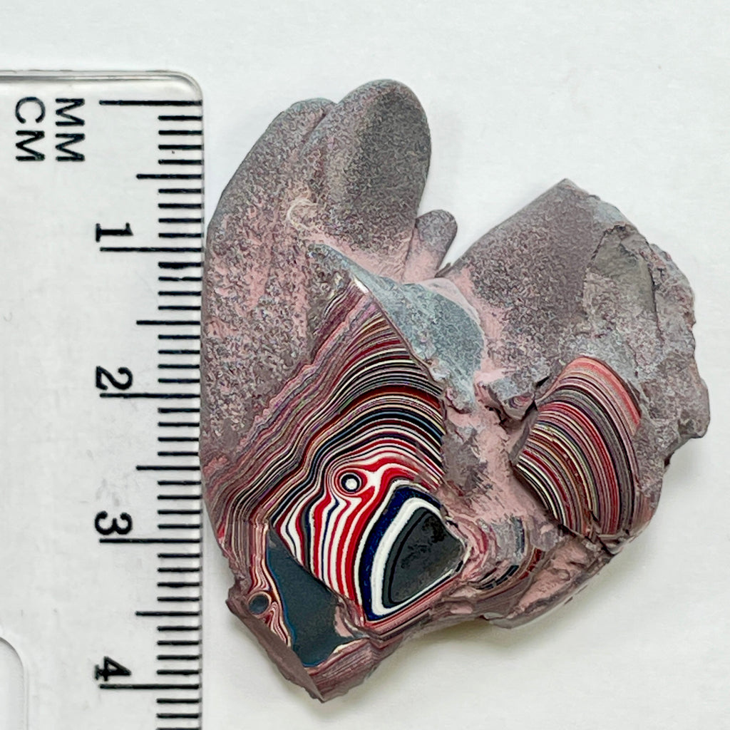 DVH 12g Corvette Fordite Polished Face Specimen Bowling Green KY Ass. (6998)