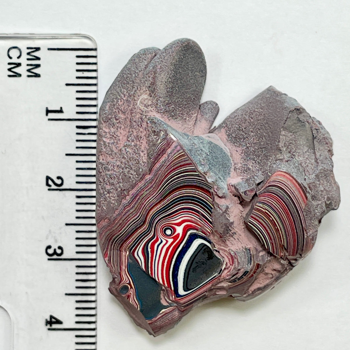 DVH 12g Corvette Fordite Polished Face Specimen Bowling Green KY Ass. (6998)