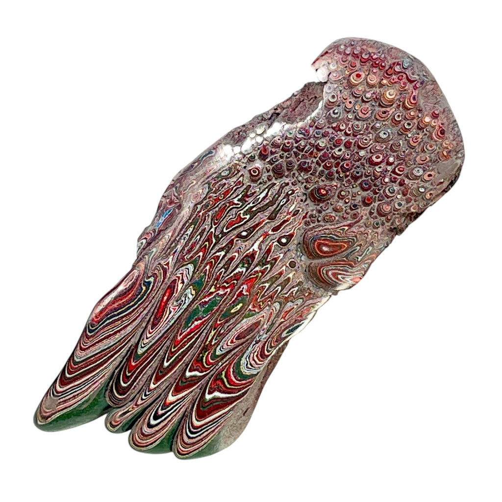 DVH 7g Corvette Dragonscale Fordite Polished Face Specimen Bowling Green KY Ass. (7000)