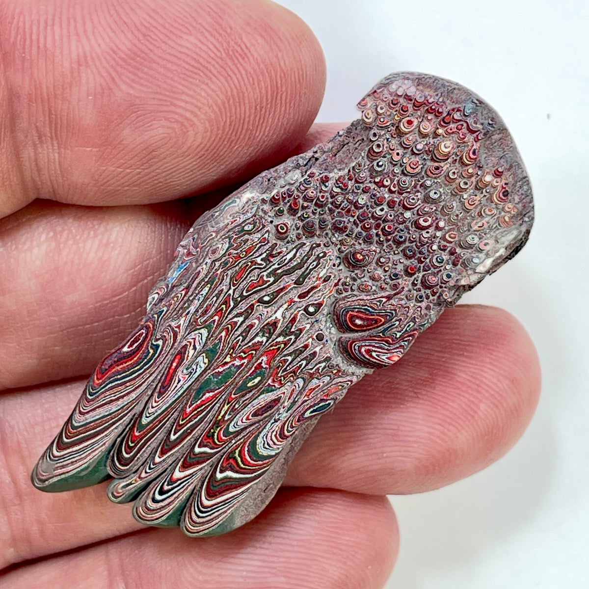 DVH 7g Corvette Dragonscale Fordite Polished Face Specimen Bowling Green KY Ass. (7000)
