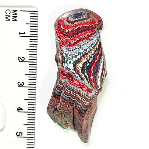 DVH 7g Corvette Dragonscale Fordite Polished Face Specimen Bowling Green KY Ass. (7000)