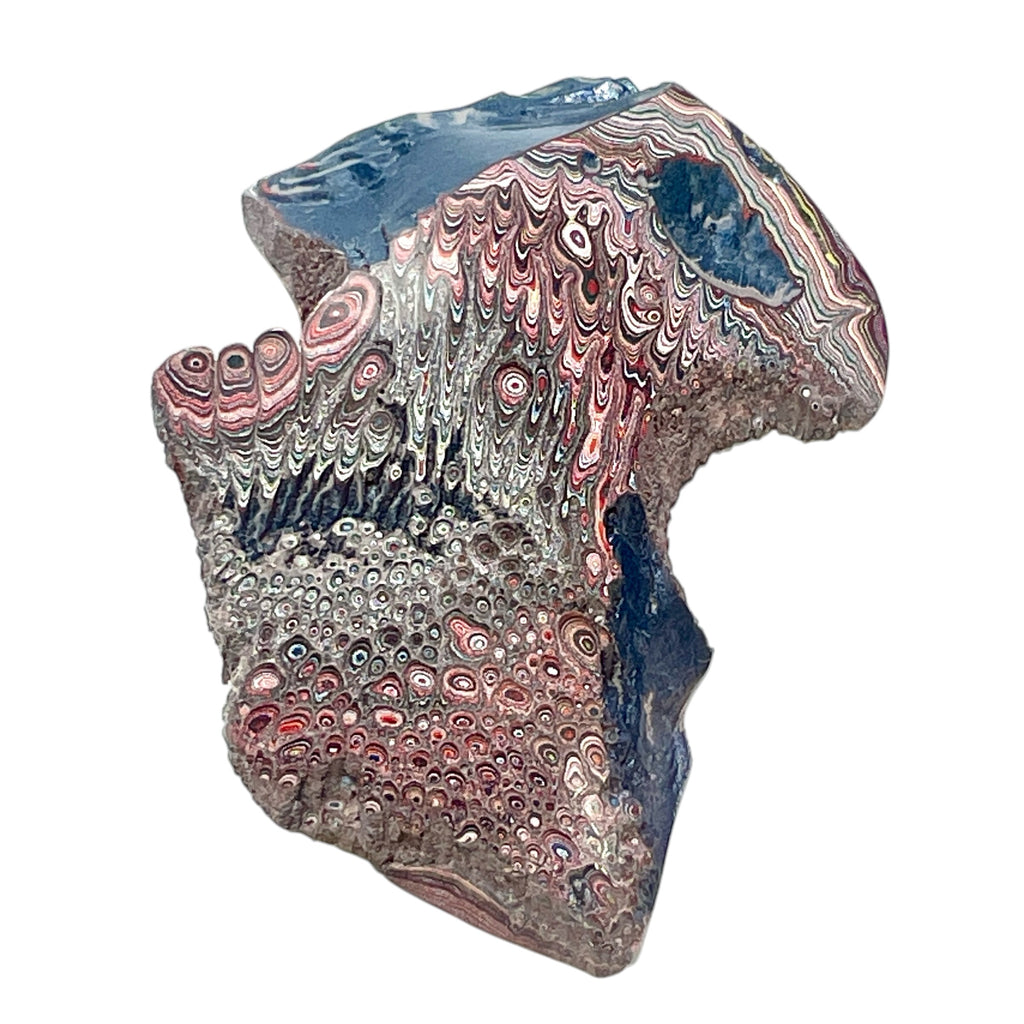 DVH 9g Corvette Dragonscale Fordite Polished Face Specimen Bowling Green KY Ass. (7002)