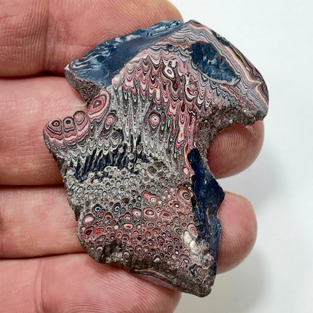 DVH 9g Corvette Dragonscale Fordite Polished Face Specimen Bowling Green KY Ass. (7002)