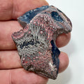 DVH 9g Corvette Dragonscale Fordite Polished Face Specimen Bowling Green KY Ass. (7002)