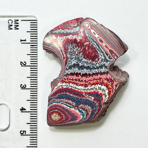 DVH 9g Corvette Dragonscale Fordite Polished Face Specimen Bowling Green KY Ass. (7002)