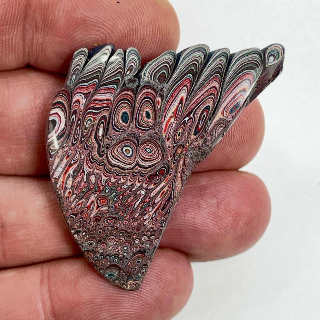 DVH 9g Corvette Dragonscale Fordite Polished Face Specimen Bowling Green KY Ass. (7003)
