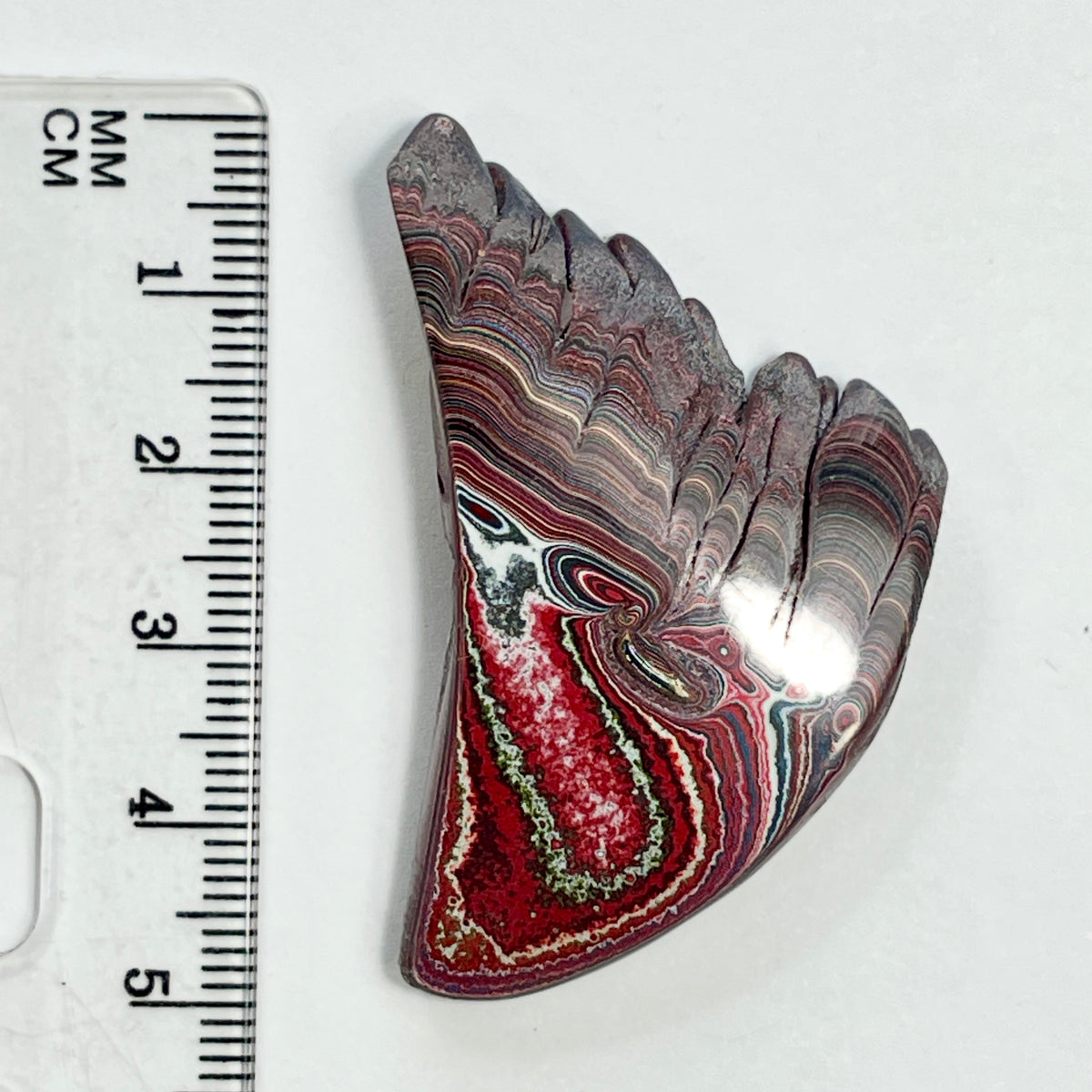 DVH 9g Corvette Dragonscale Fordite Polished Face Specimen Bowling Green KY Ass. (7003)