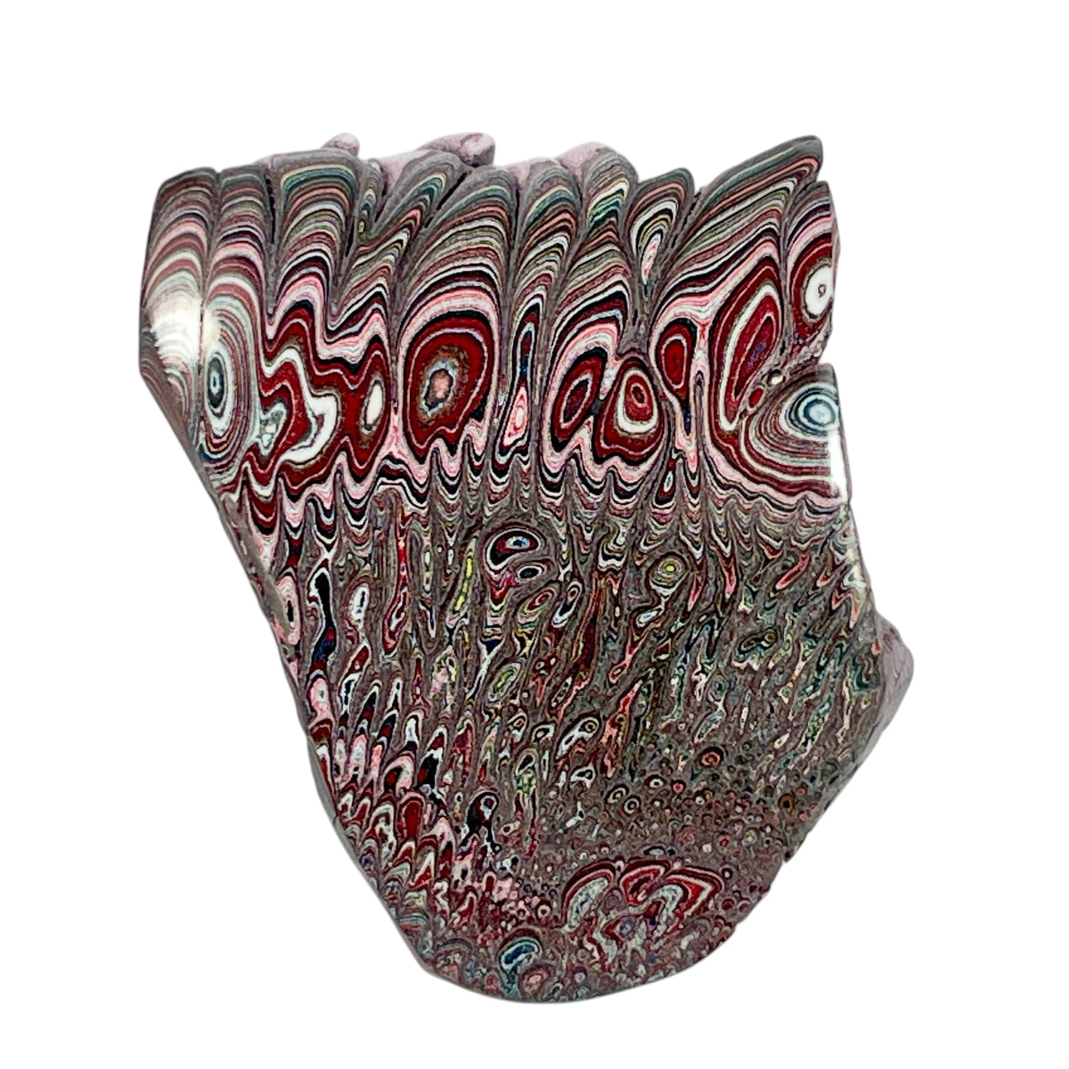 DVH 12g Corvette Dragonscale Fordite Polished Face Specimen Bowling Green KY Ass. (7004)