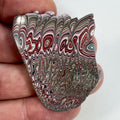 DVH 12g Corvette Dragonscale Fordite Polished Face Specimen Bowling Green KY Ass. (7004)