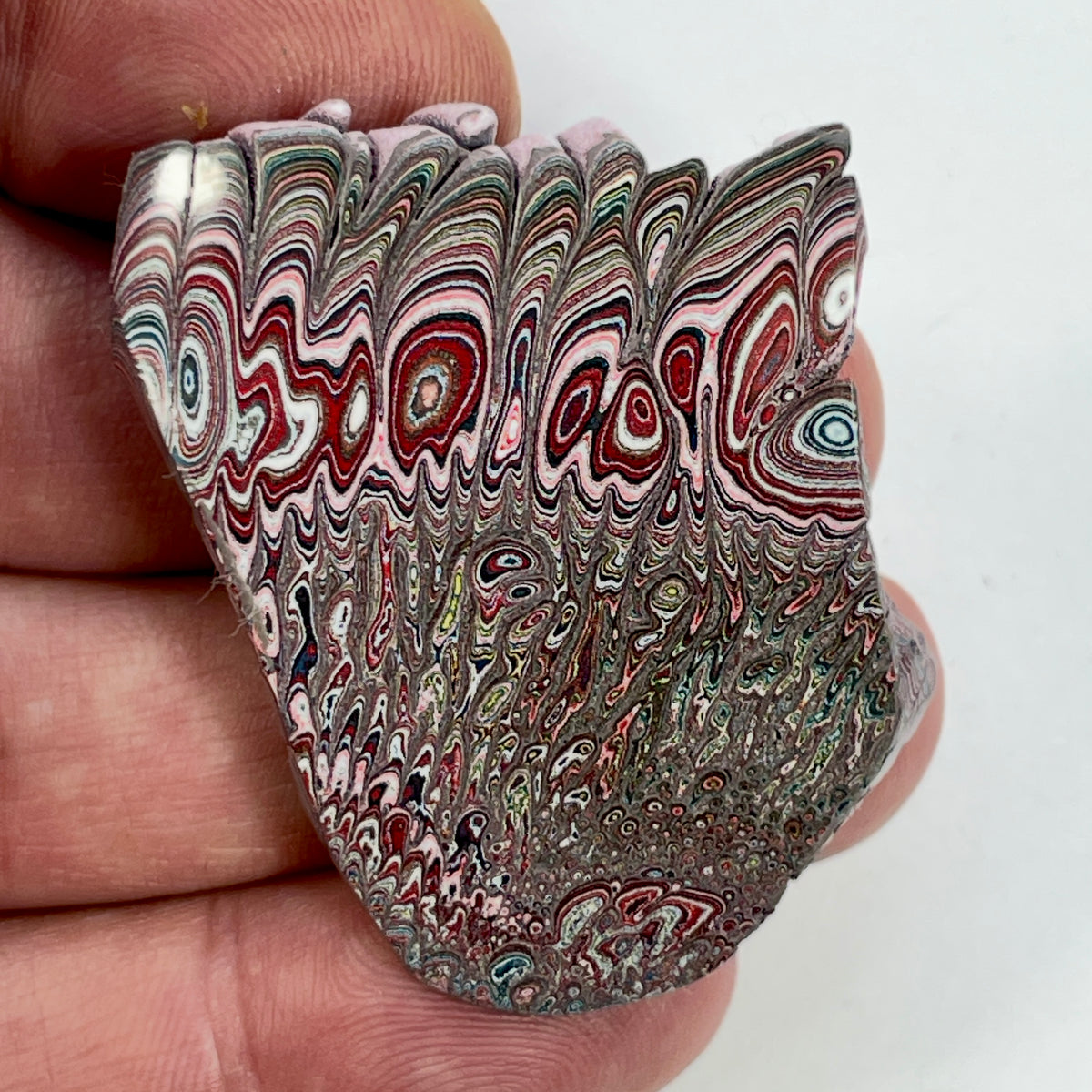 DVH 12g Corvette Dragonscale Fordite Polished Face Specimen Bowling Green KY Ass. (7004)