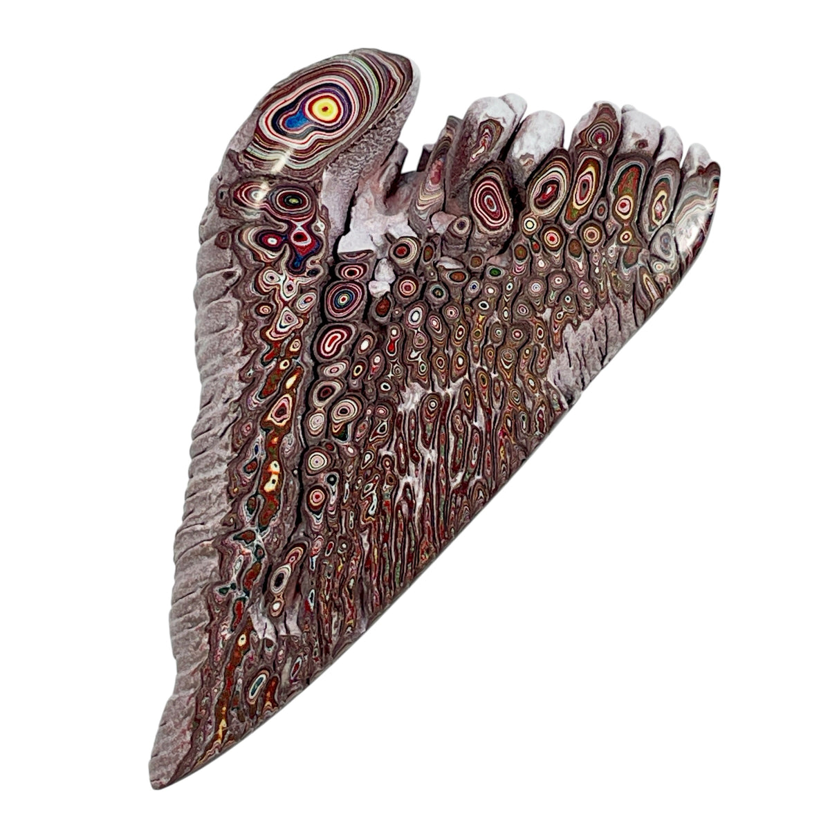 DVH 15g Corvette Dragonscale Fordite Angel Wing Polished Face Specimen  (7005)