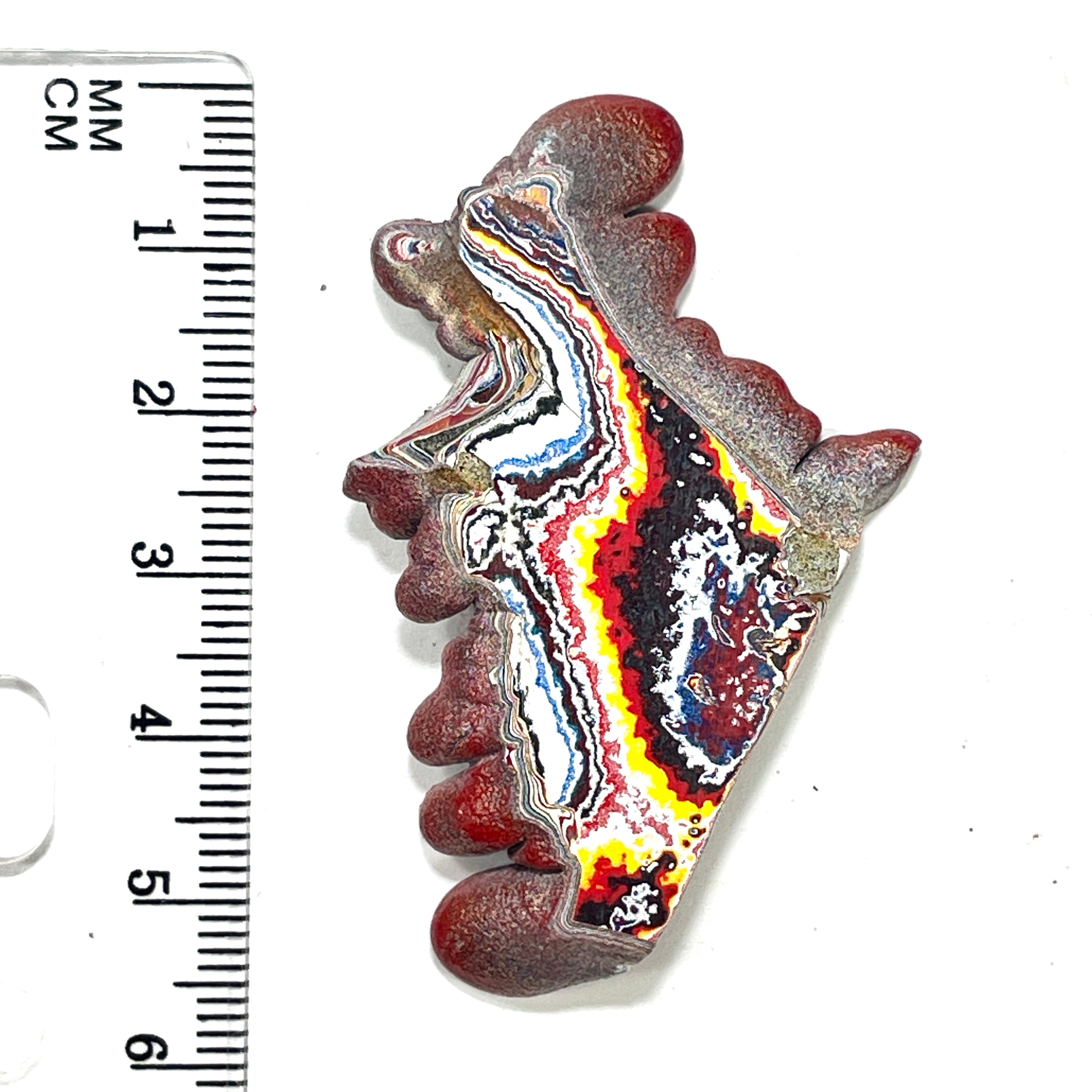 DVH Kenworth Truck Fordite Polished Face Specimen Chillicothe Ohio Ass. (6562) - DVHdesigns