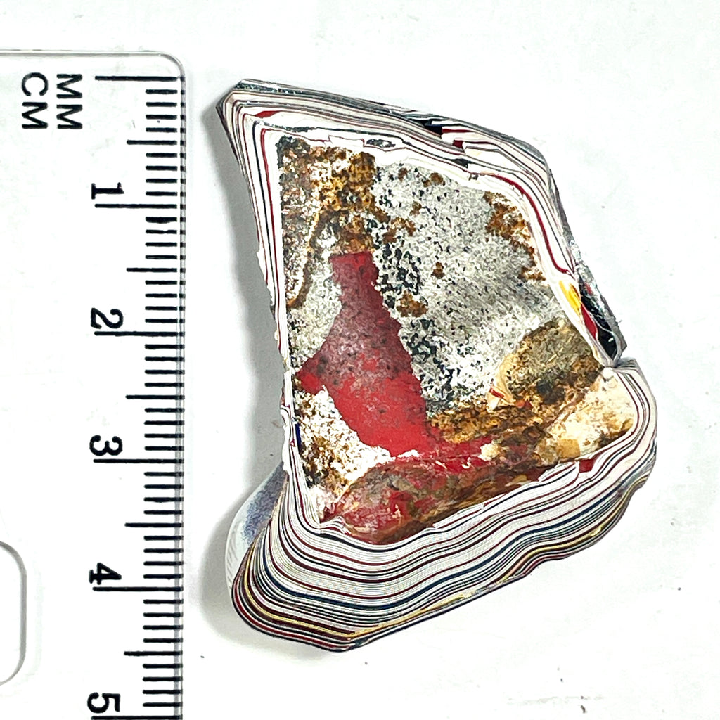 DVH Kenworth Truck Fordite Polished Face Specimen Chillicothe Ohio Ass. (6564) - DVHdesigns