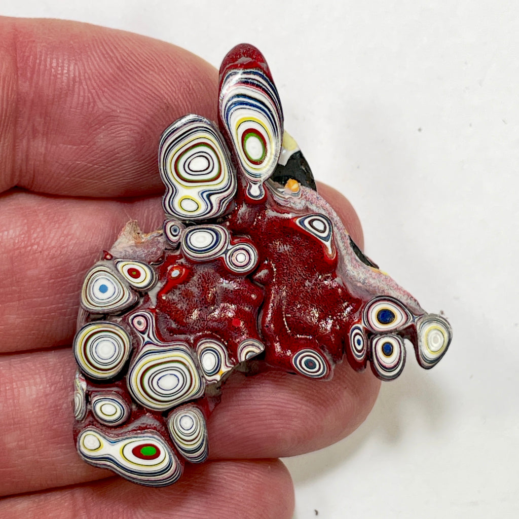 DVH Kenworth Truck Donkey Head Shaped Fordite Polished Face Specimen Chillicothe Ohio Ass. (6983)