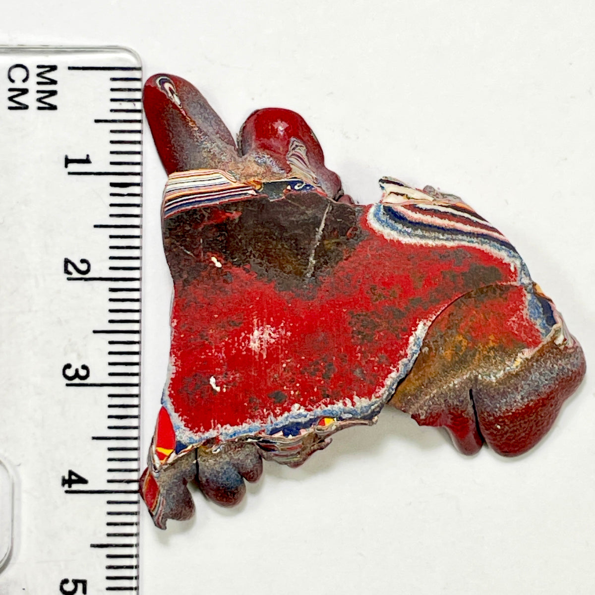 DVH Kenworth Truck Donkey Head Shaped Fordite Polished Face Specimen Chillicothe Ohio Ass. (6983)