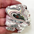 DVH Kenworth Truck Fordite Polished Face Specimen Chillicothe Ohio Ass. (6990)