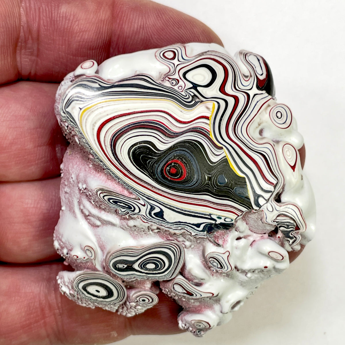 DVH Kenworth Truck Fordite Polished Face Specimen Chillicothe Ohio Ass. (6990)