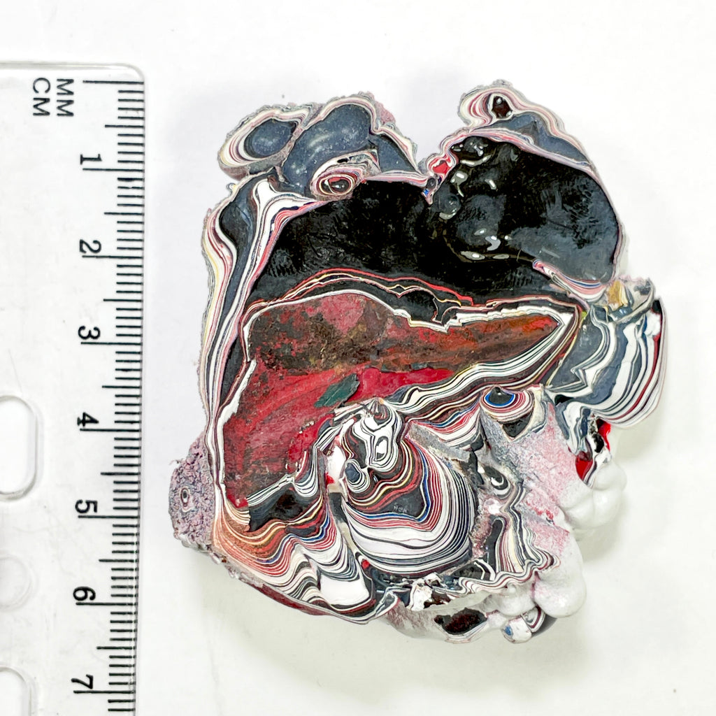 DVH Kenworth Truck Fordite Polished Face Specimen Chillicothe Ohio Ass. (6990)