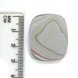 DVH Fordite Cabochon Ford F150 Truck KC Assembly 30x25x4mm (5528)