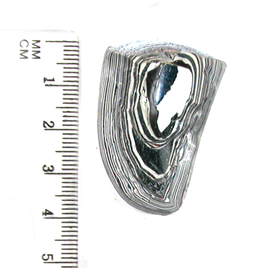 DVH Ford F150 Fordite Specimen Polished Face Rough KC Assembly (5702) - DVHdesigns