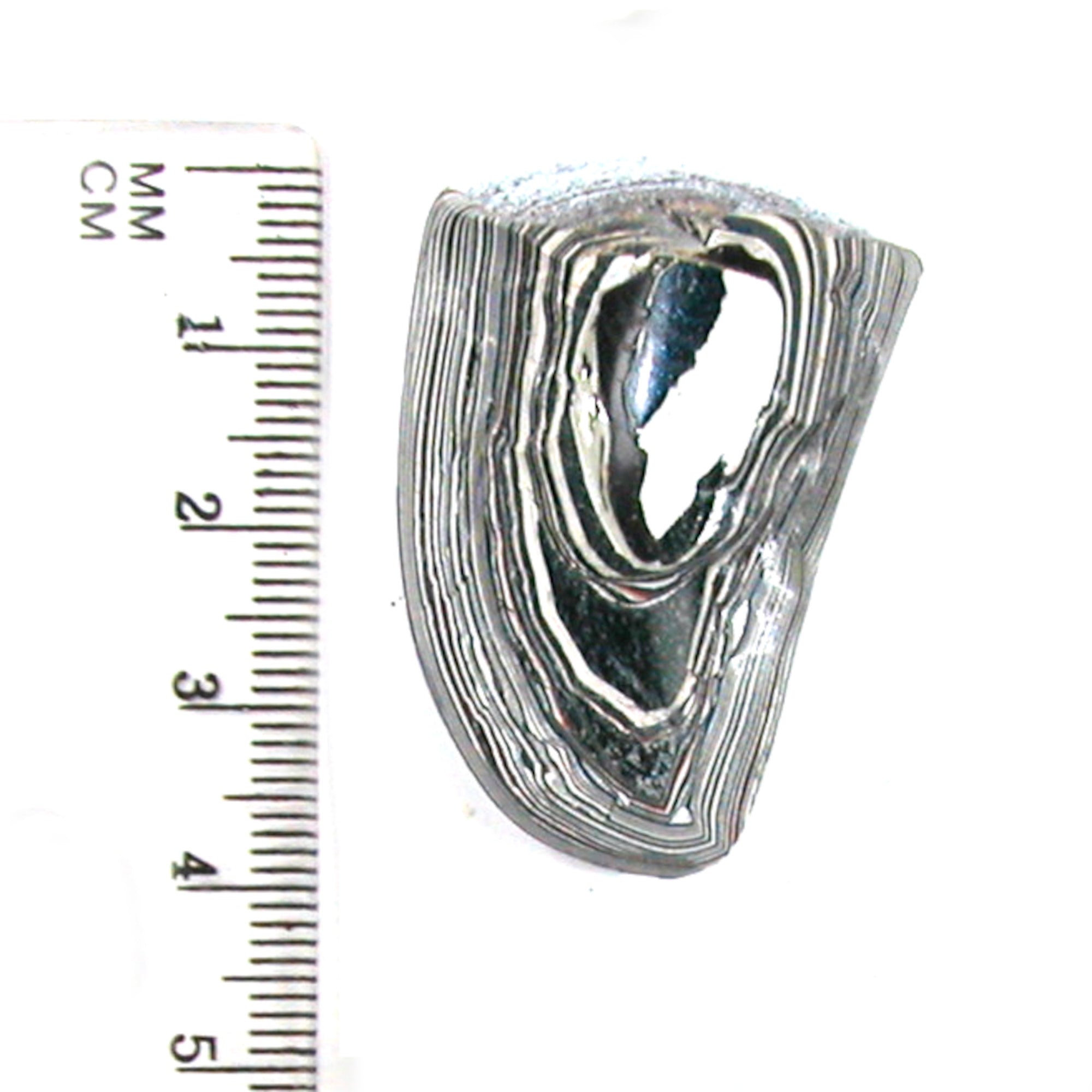 DVH Ford F150 Fordite Specimen Polished Face Rough KC Assembly (5702) - DVHdesigns