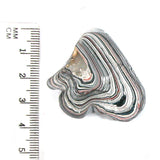 DVH Ford F150 Fordite Specimen Polished Face Rough KC Assembly (5705)