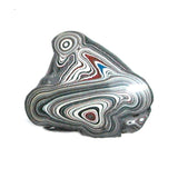 DVH Ford F150 Fordite Specimen Polished Face Rough KC Assembly (5706)