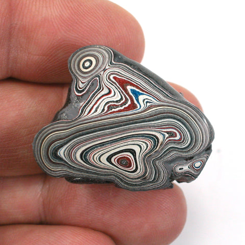 DVH Ford F150 Fordite Specimen Polished Face Rough KC Assembly (5706)