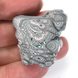 DVH Ford F150 Dragonscale Fordite Specimen Polished Face Rough KC Assembly (5736)